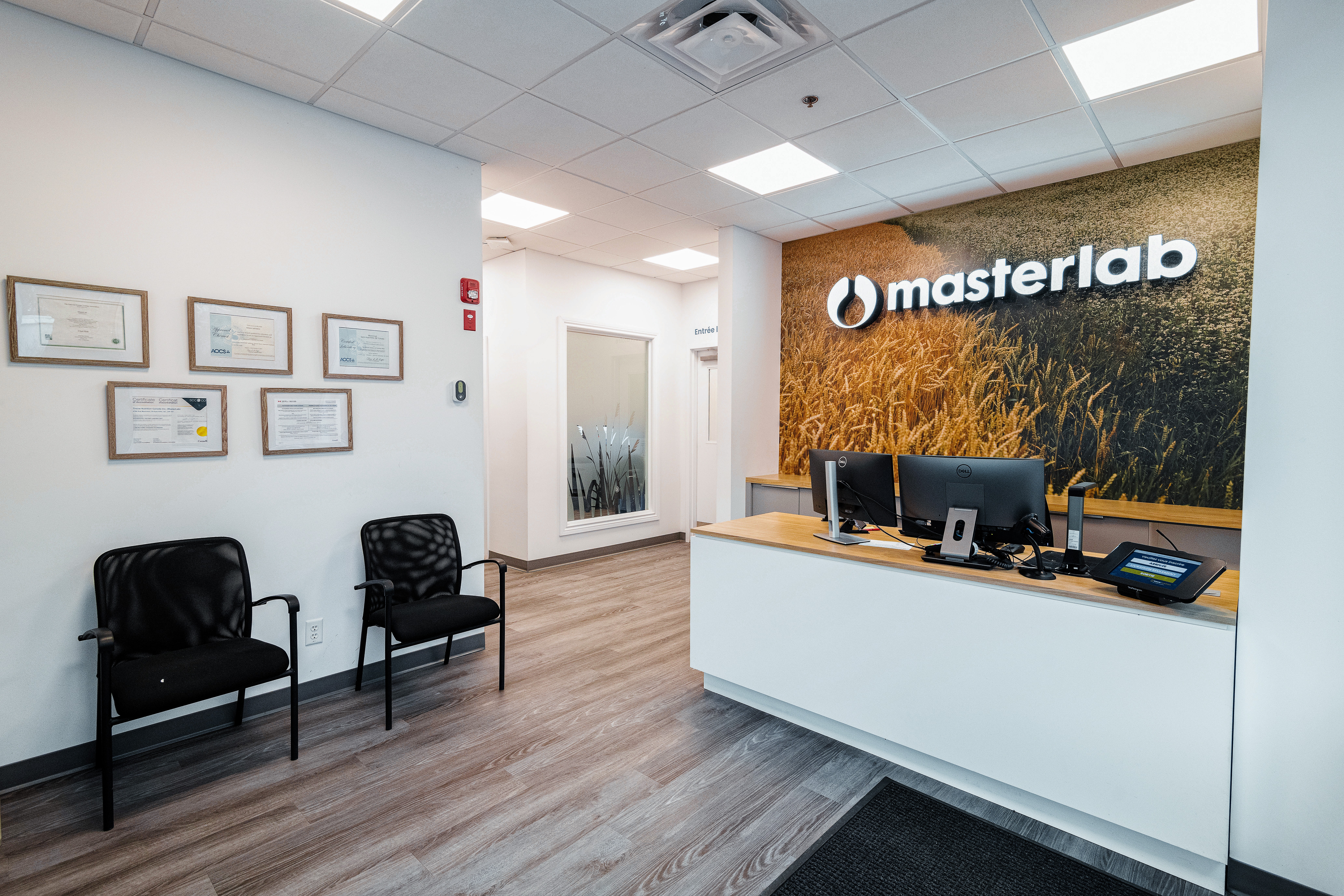 Hall d’entrée de Masterlab, avec un espace lumineux, des murs modernes et un comptoir d’accueil.